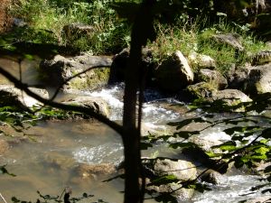 image111